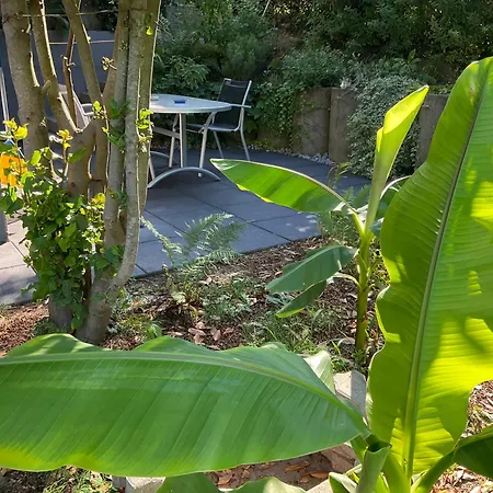 Avec Terrasse Au Coeur De La Nature דירה